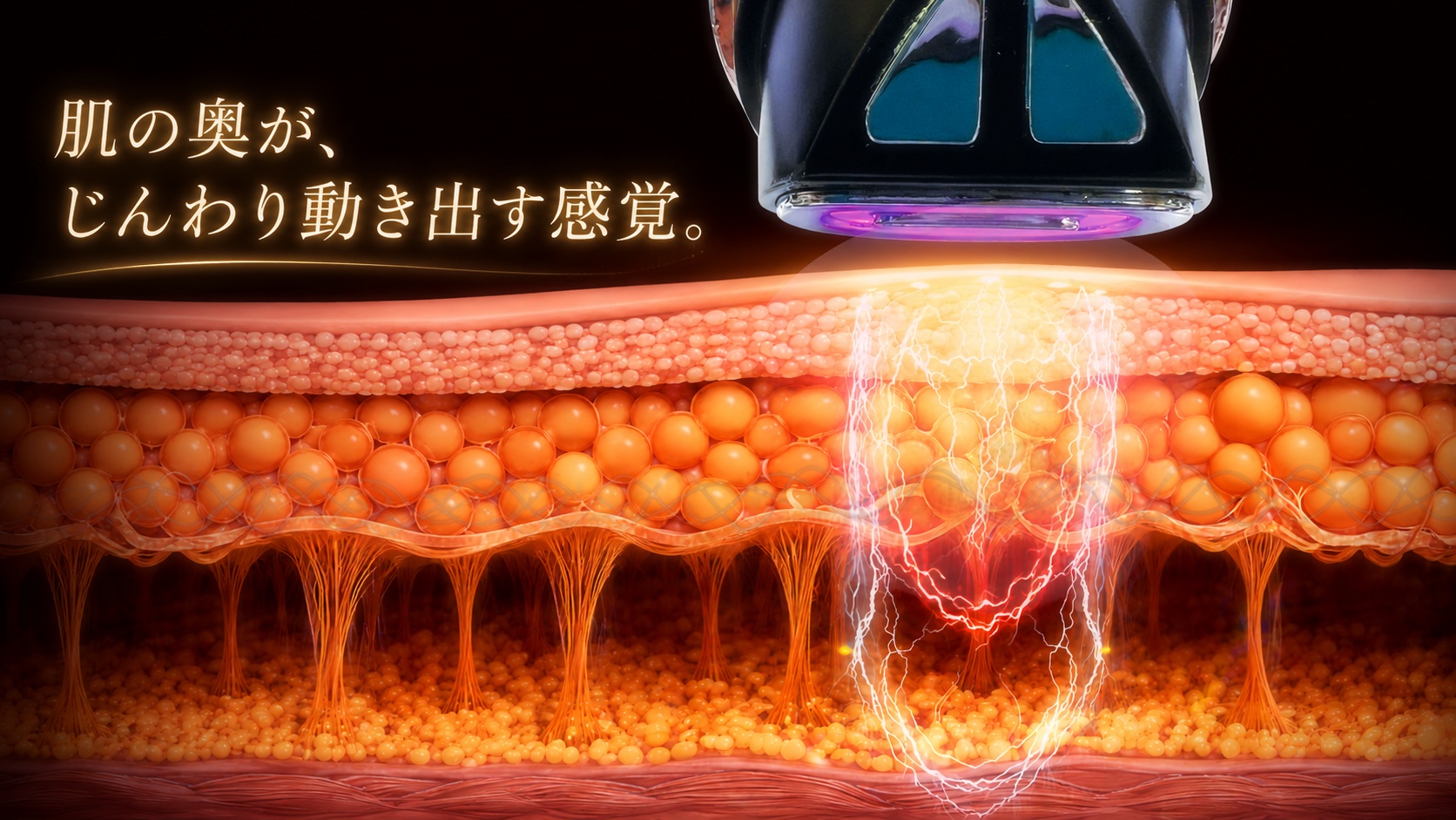 画像12