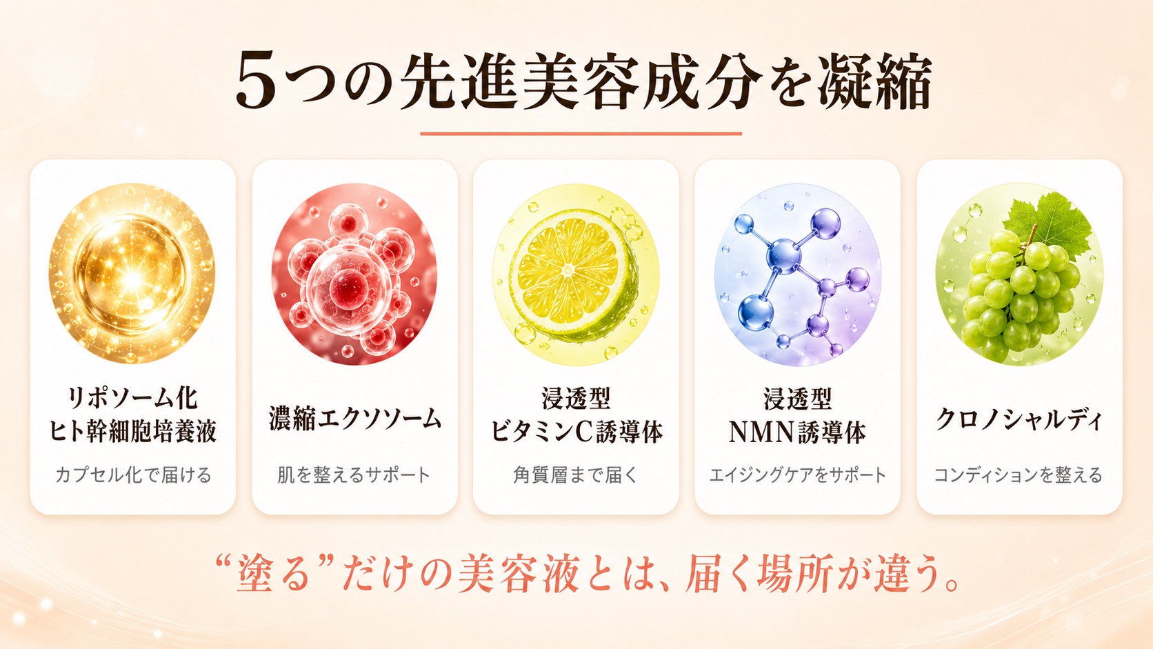 5つの先進美容成分図解