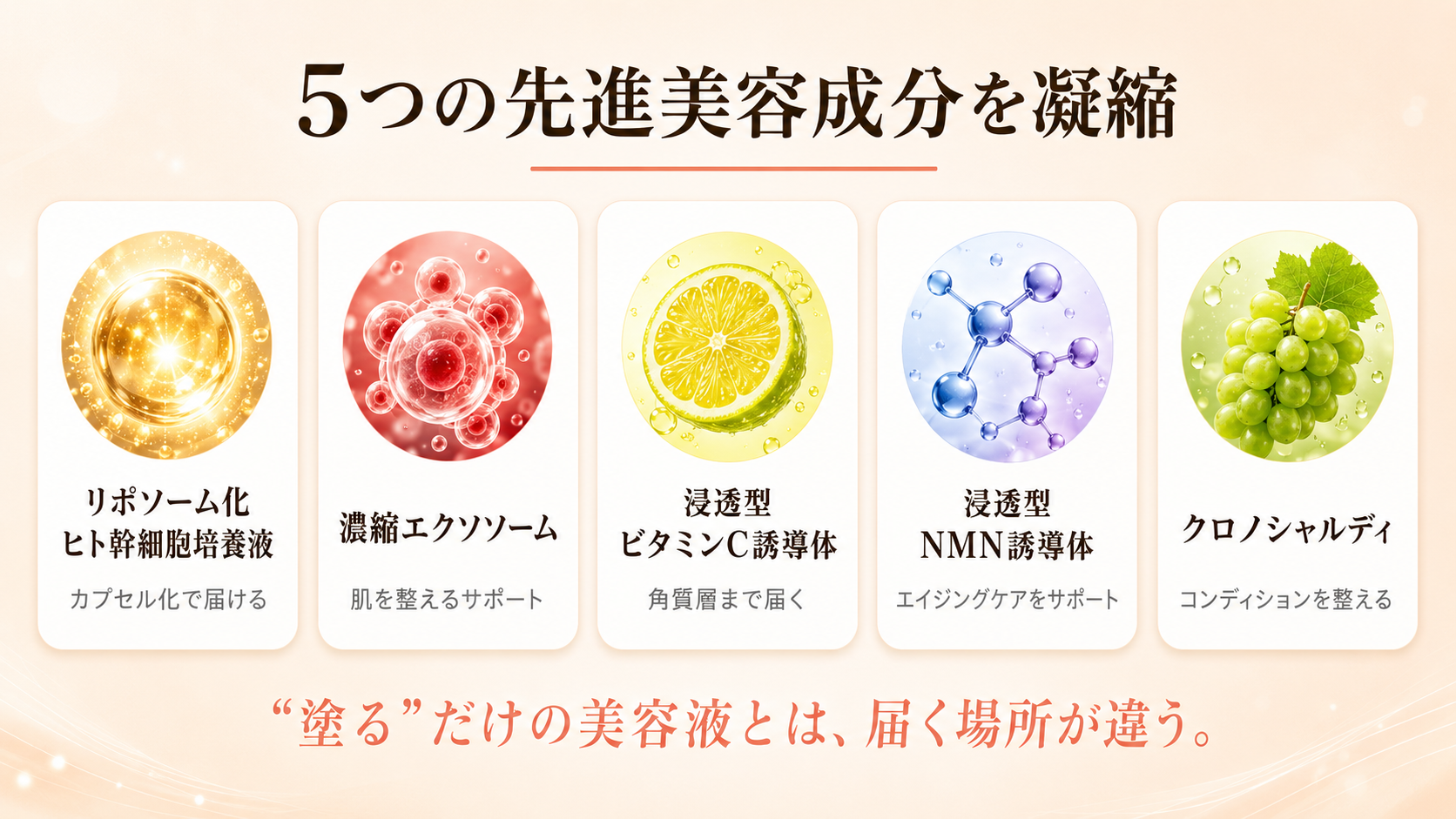 主要成分アイコン図