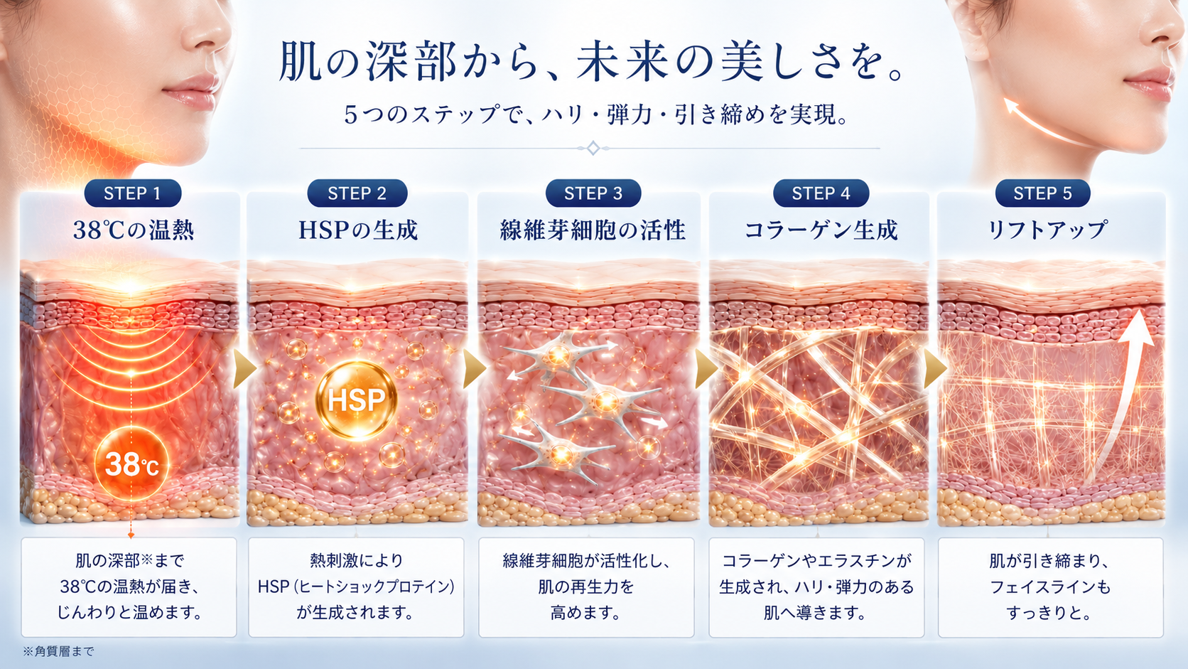 ヒートショックプロテイン発現イメージ