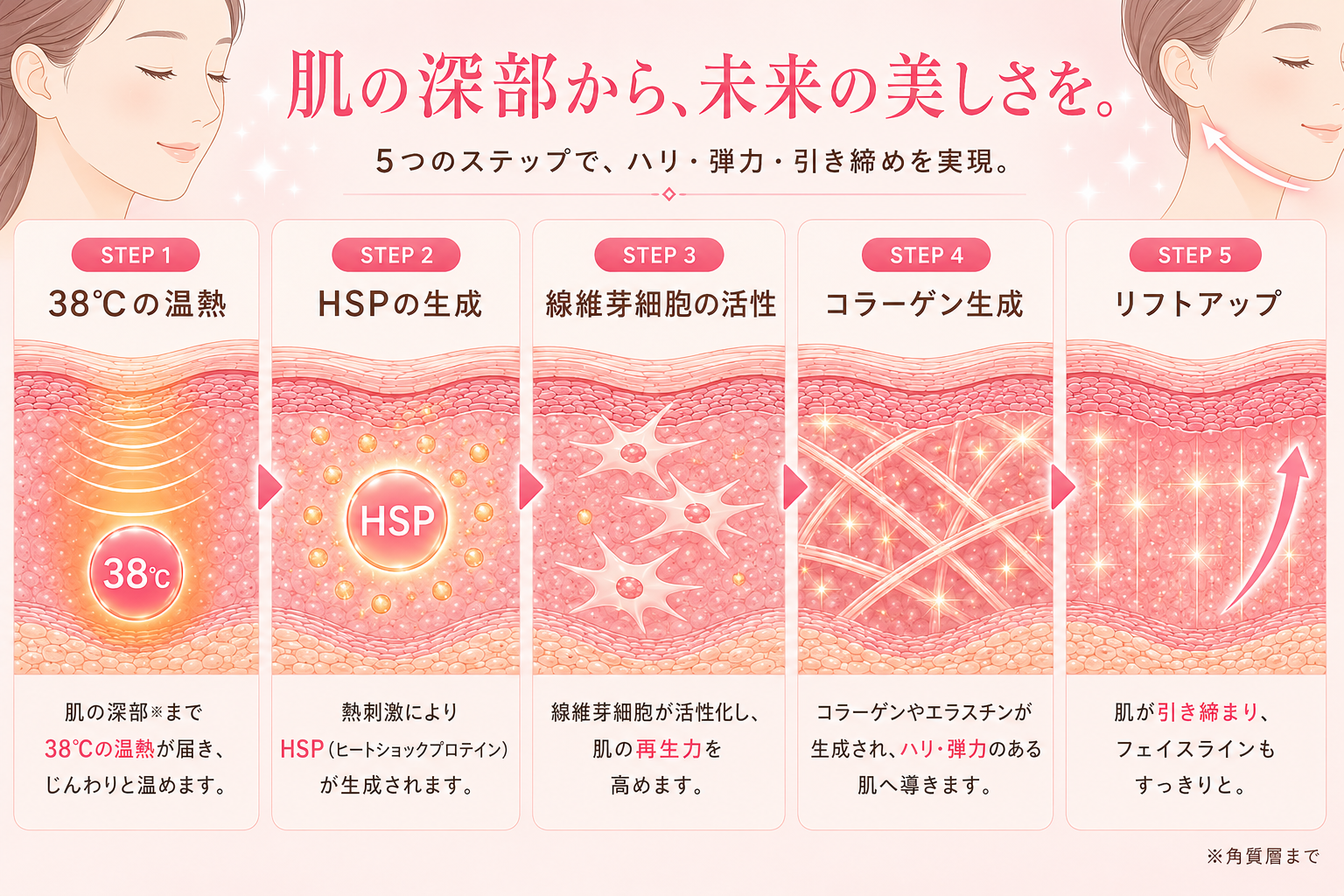 ヒートショックプロテイン発現イメージ